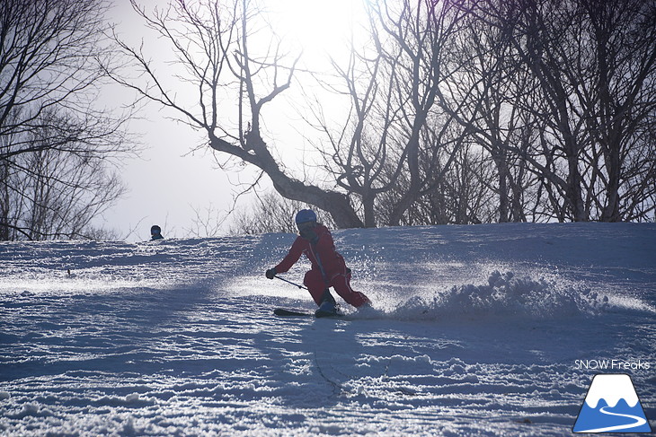 DYNASTAR SKI series Test Ride Days 2017 in ニセコユナイテッド【Day.2】～ニセコグラン・ヒラフ～